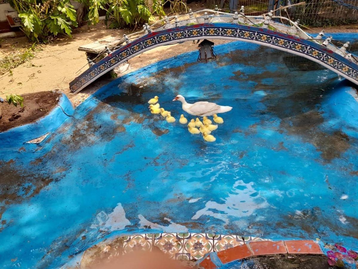 La Posada Del Sol บียาเจเซลล์ ภายนอก รูปภาพ
